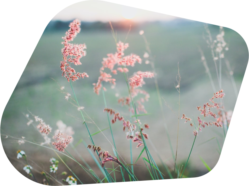 Schau dir dieses erstaunliche Video an!